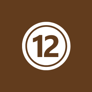 الحكم القضائي، صياغته وتسبيبه ونقضه بالاستئناف