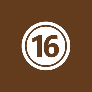 نظام التأمينات الاجتماعية