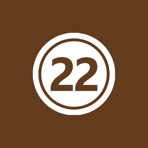 صياغة اللوائح والمذكرات القانونية