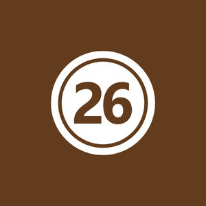 نظم التحقق من سلامة الرقابة المالية والتدقيق الداخلي