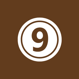 أصول التحقيق أمام النيابة العسكرية