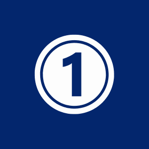 المستشار السياسي